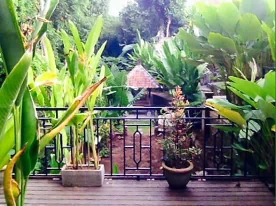 אובוד Kerta Family Bed And Breakfast מראה חיצוני תמונה